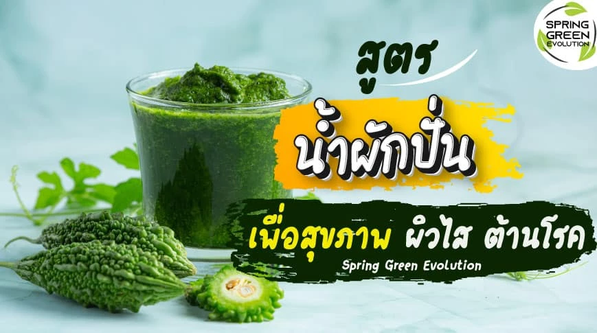 สูตร น้ำผักปั่น เพื่อสุขภาพ ผิวใส ต้านโรค - Spring Green Evolution